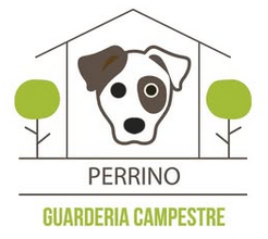 Perrino